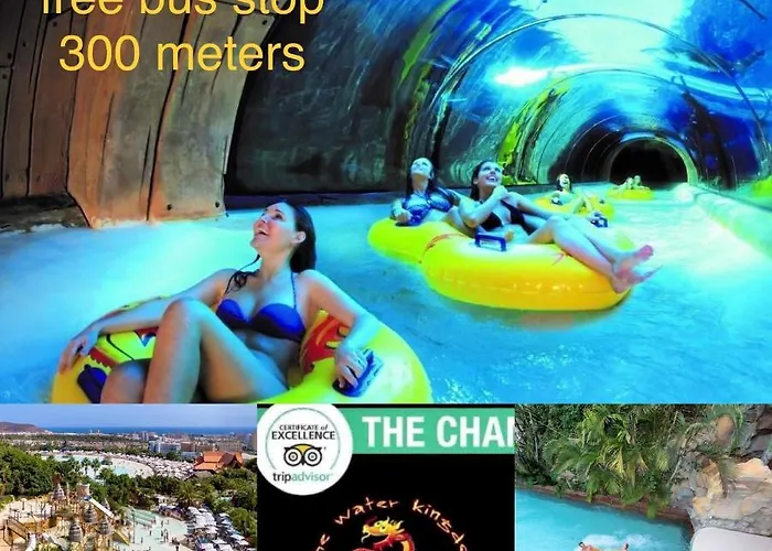 Cristianos Los Cristianos (Tenerife)