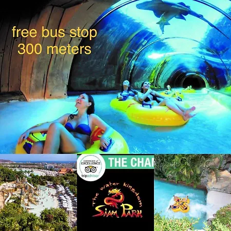 Cristianos Los Cristianos (Tenerife)